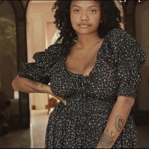 Ischa dress night songbird paisley